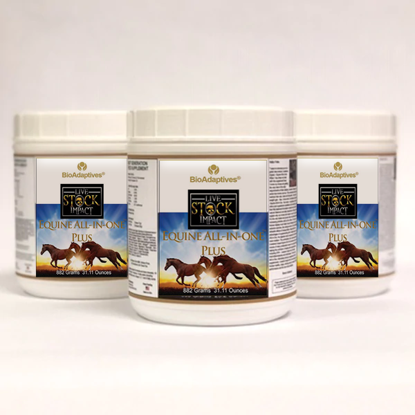 Equine All-in-One Plus Supplement for Comprehensive Horse Care