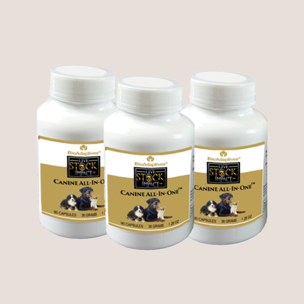 Essential Dog Nutrients in All-in-One Supplement