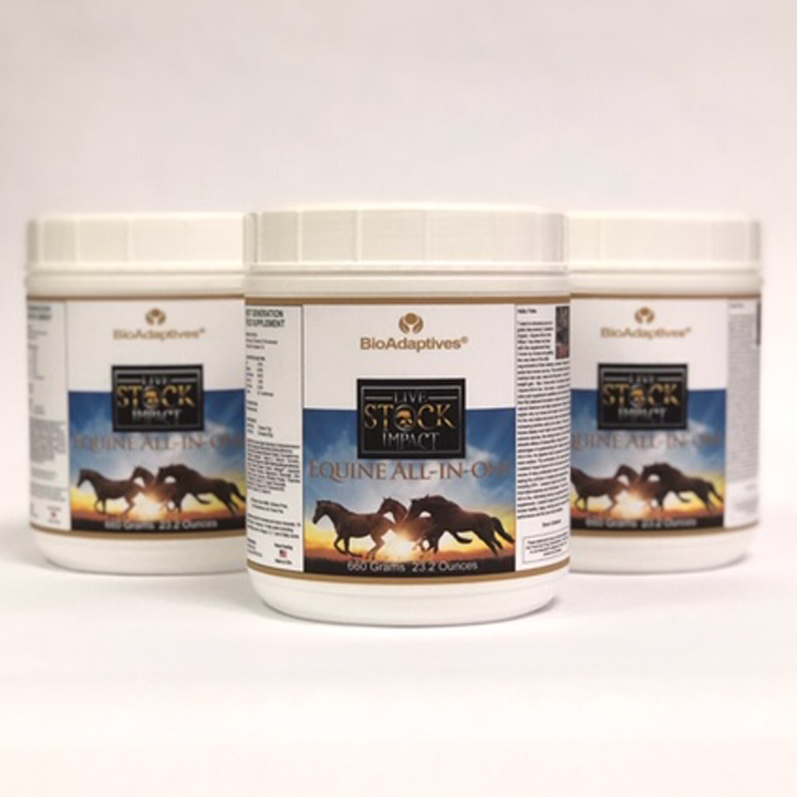 Comprehensive Equine Care with All-in-One Supplement